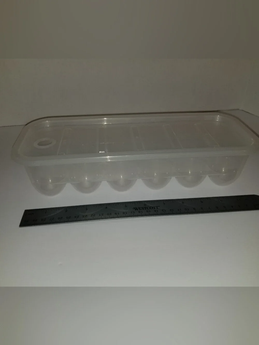 Clear Plastic Egg Storage Tray with Lid - Transparent